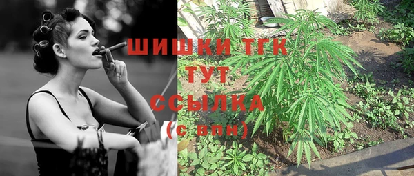 ешки Заводоуковск