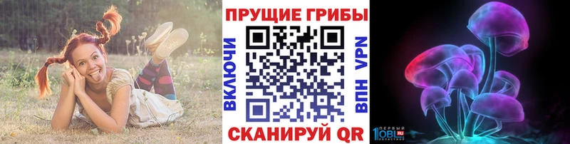 Купить  Дивногорск  Псилоцибиновые грибы Magic Shrooms 